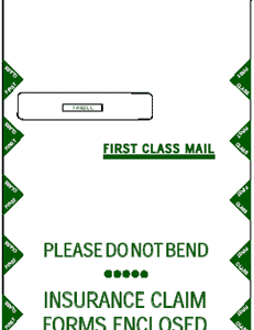 CMS-1450 JUMBO ENVELOPES